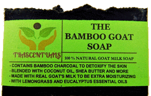 How Activated Bamboo Charcoal is Good For Your Skin