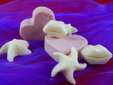 Lotion Massage Bar-Smooth and Silky - TRASCENTUALS