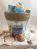 Summer Beach Bucket - TRASCENTUALS